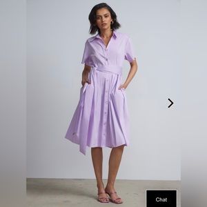 NWOT Belted Button-Front Flare Shirtdress